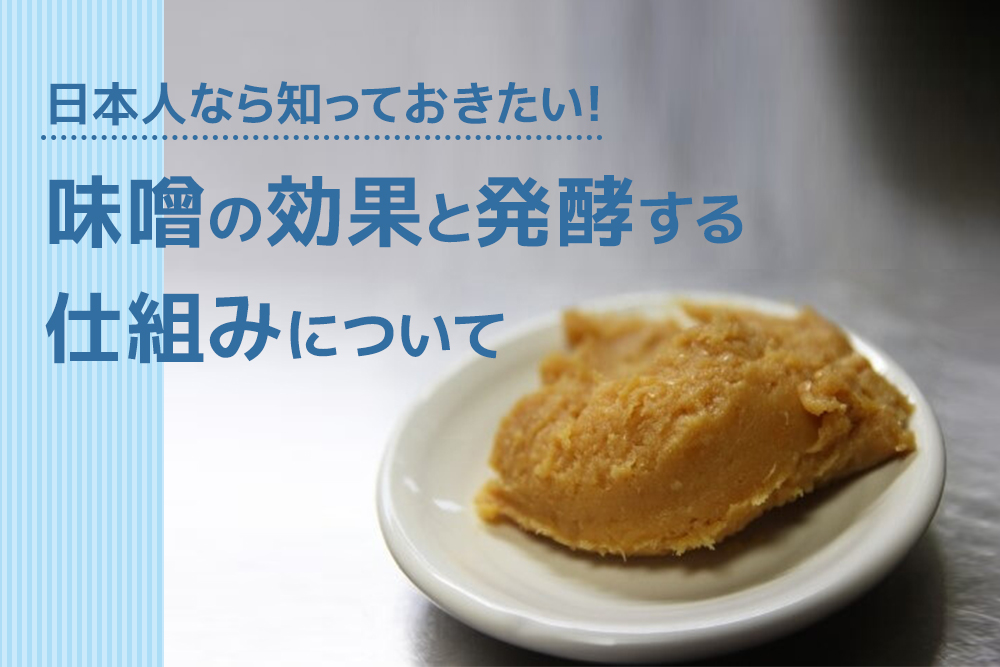日本人なら知っておきたい！味噌の効果と発酵する仕組みについて