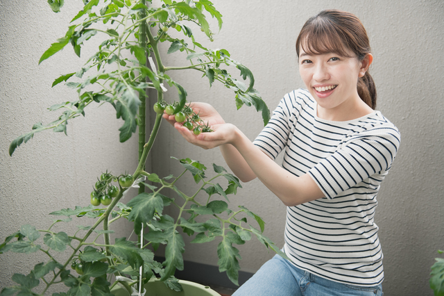 スペシャル講座なら100%資格取得できます