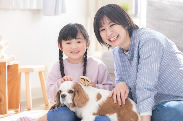 スペシャル講座なら100%資格取得できます