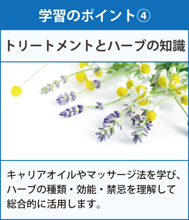 学習のポイント